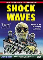 Shock Waves